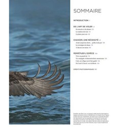 Rapaces - Entre ciel et terre