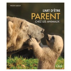 L'art d'être parent chez les animaux
