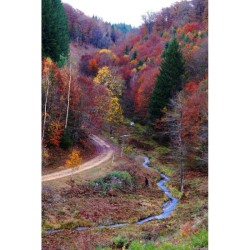 Grand tour des plus beaux villages de Wallonie par les GR - Tome 1