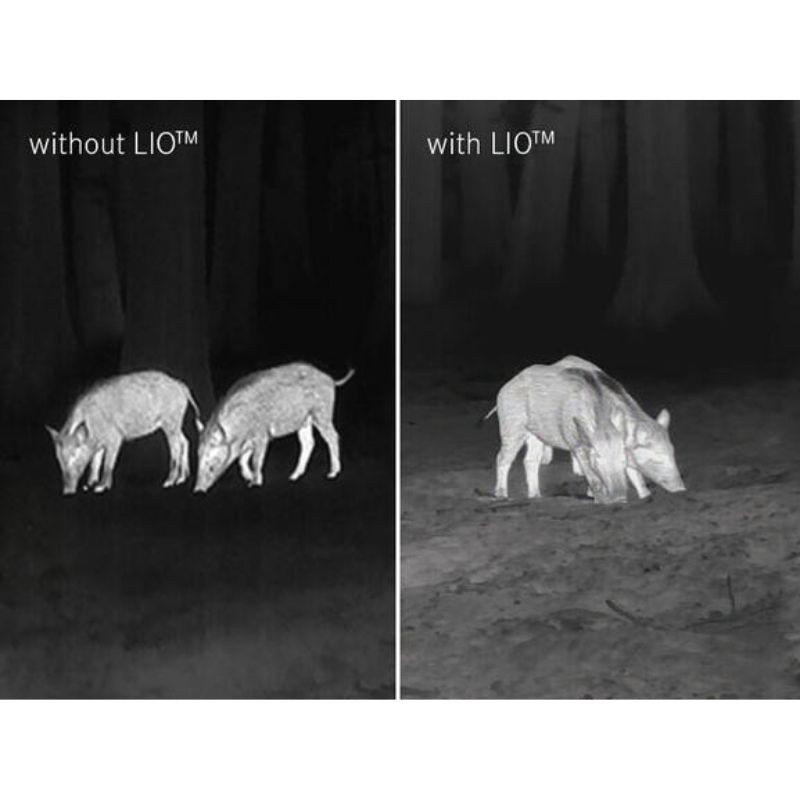 Leica Calonox View - Monoculaire d'imagerie thermique