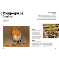 Le jardin des oiseaux - Un regard antispéciste sur le vivant Le jardin des oiseaux - Un regard antispéciste sur le vivant