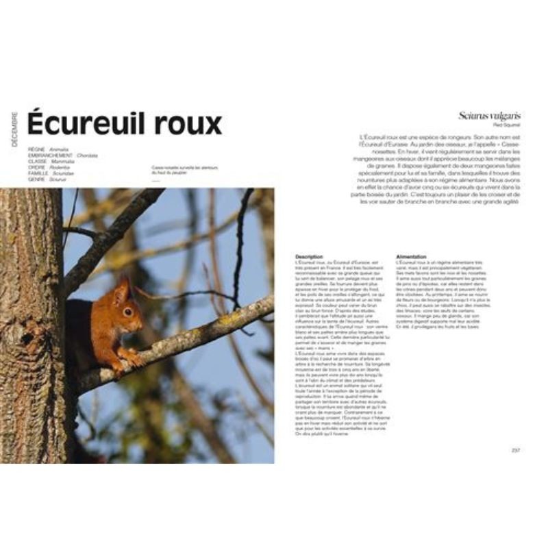 Le jardin des oiseaux - Un regard antispéciste sur le vivant Le jardin des oiseaux - Un regard antispéciste sur le vivant