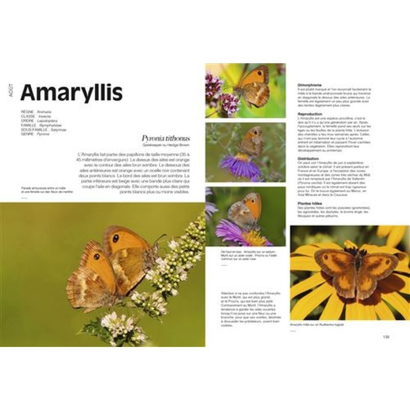 Le jardin des oiseaux - Un regard antispéciste sur le vivant Le jardin des oiseaux - Un regard antispéciste sur le vivant