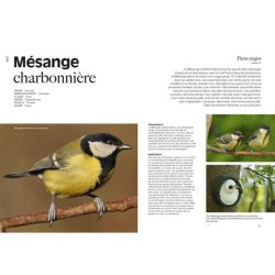 Le jardin des oiseaux - Un regard antispéciste sur le vivant Le jardin des oiseaux - Un regard antispéciste sur le vivant