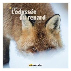 L'odyssée du renard