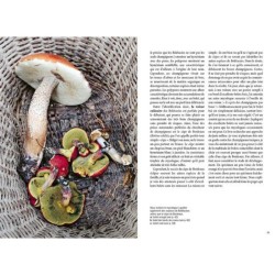 Reconnaître les bons champignons - Guide de terrain Reconnaître les bons champignons - Guide de terrain