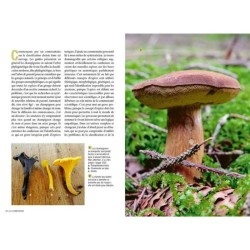 Reconnaître les bons champignons - Guide de terrain Reconnaître les bons champignons - Guide de terrain