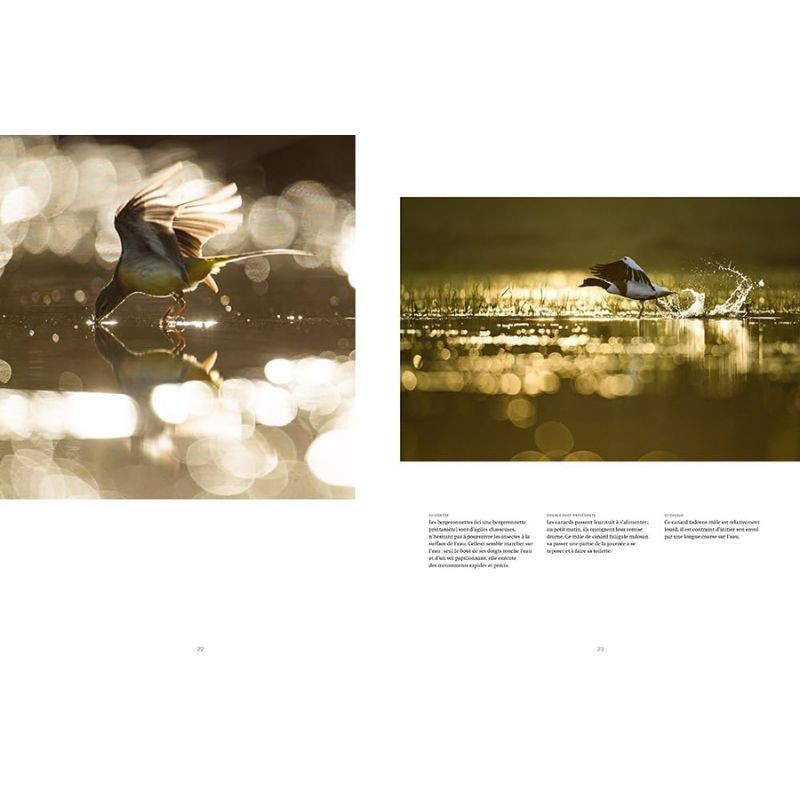 La rivière en bas de chez moi