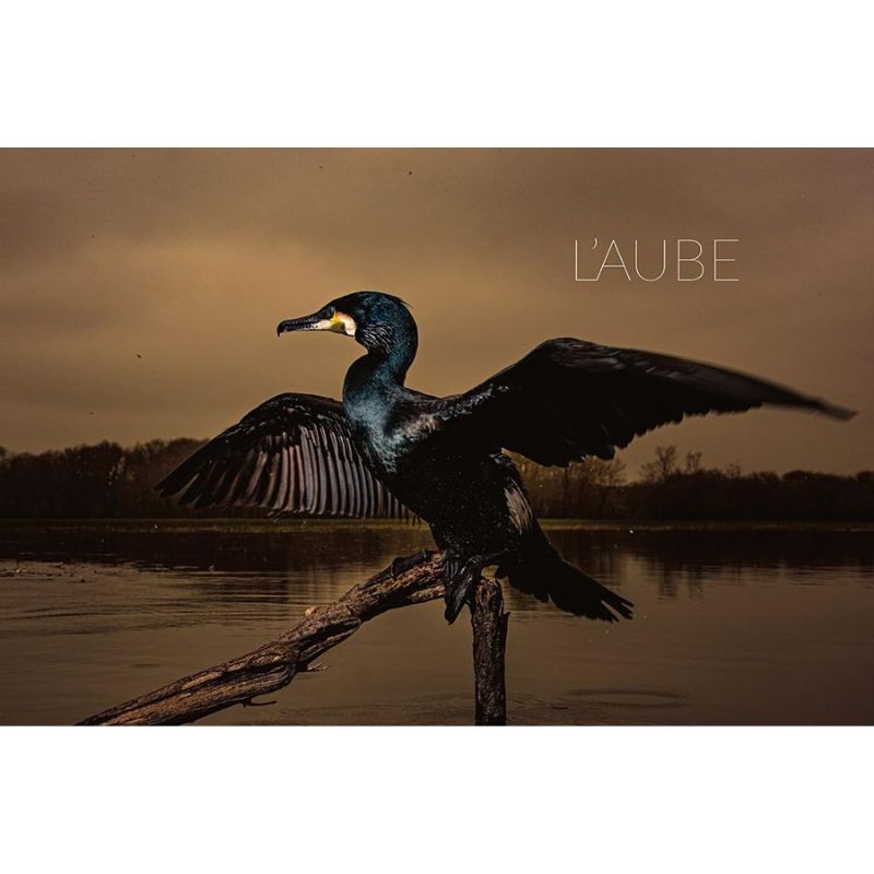 La rivière en bas de chez moi