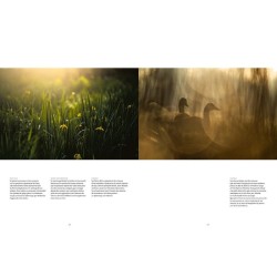 La rivière en bas de chez moi