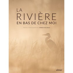 La rivière en bas de chez moi