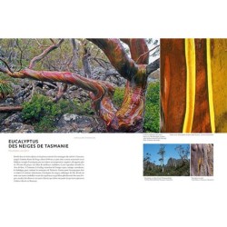 Écorces - Voyage dans l'intimité des arbres du monde
