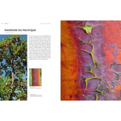 Écorces - Voyage dans l'intimité des arbres du monde