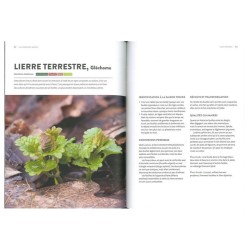 Plantes sauvages comestibles - En automne et en hiver Plantes sauvages comestibles - En automne et en hiver