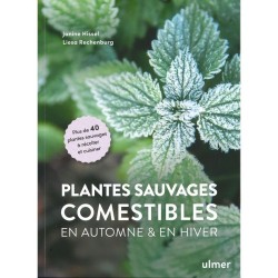 Plantes sauvages comestibles - En automne et en hiver