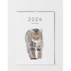 Calendrier 2024 Cats