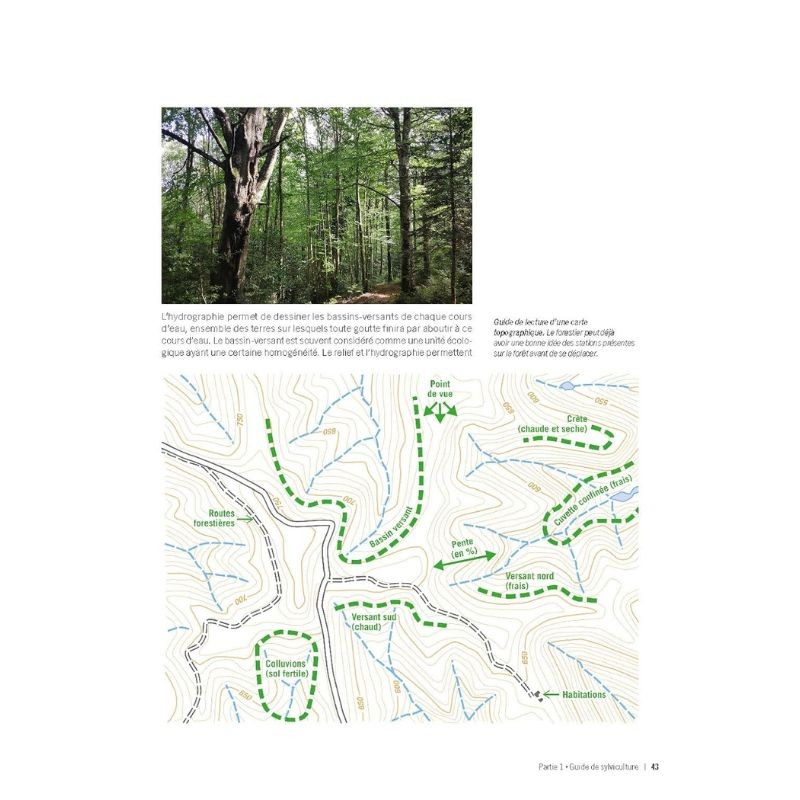 Pour une gestion écologique des forêts