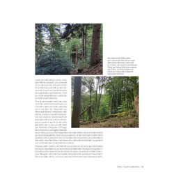 Pour une gestion écologique des forêts