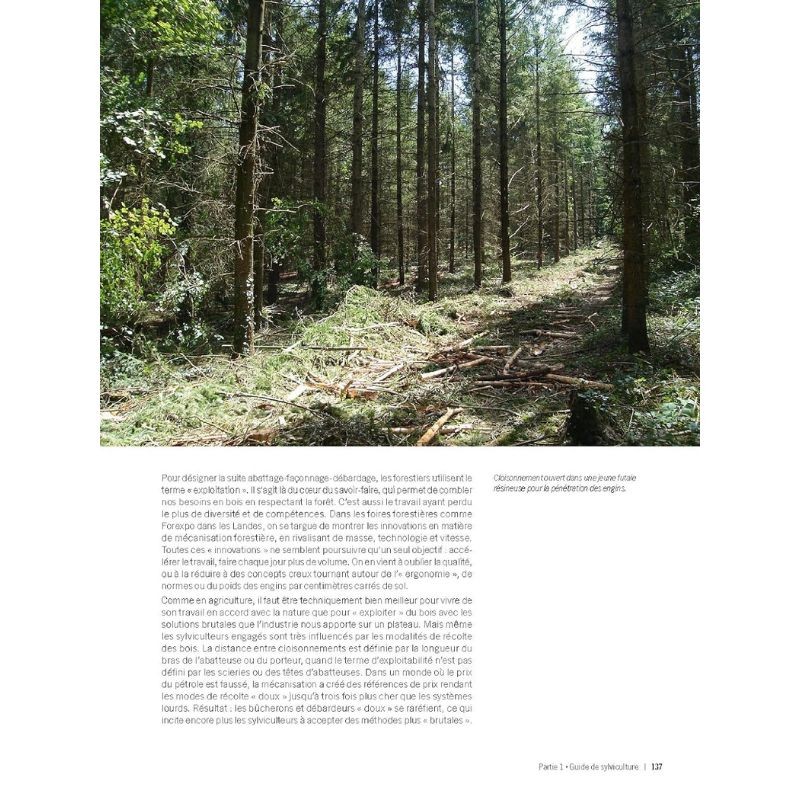 Pour une gestion écologique des forêts