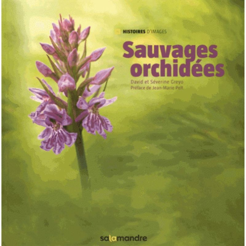 Sauvages orchidées