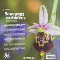 Sauvages orchidées