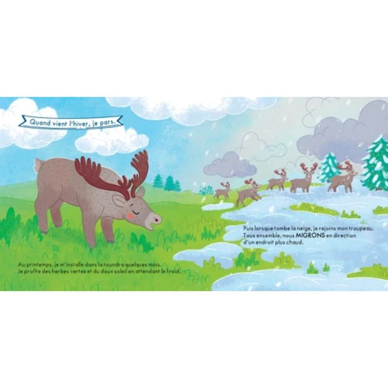 Quand vient l'hiver... que font les animaux ?