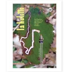 La Hulotte N°115 : La Nepticule dorée