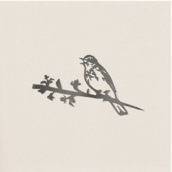 Pipit des arbres - Metalbird Pipit des arbres - Metalbird