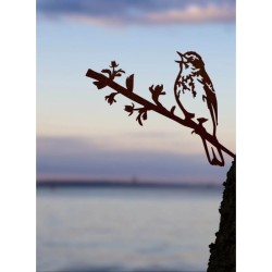 Pipit des arbres - Metalbird Pipit des arbres - Metalbird