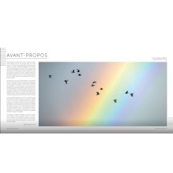 Des Plumes et des Ailes - Pourquoi et comment volent les oiseaux