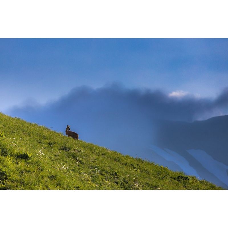 La Vallée des Loups