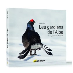 Les Gardiens de l'Alpe - Tétras-lyre, bartavelle et lagopède