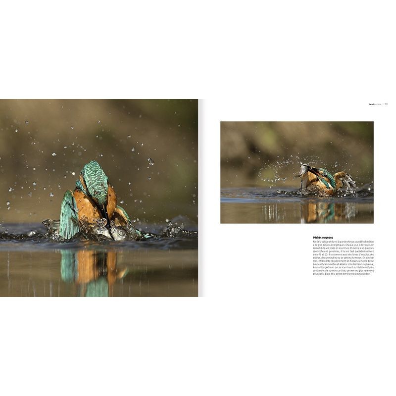 Martin, le pêcheur Martin, le pêcheur