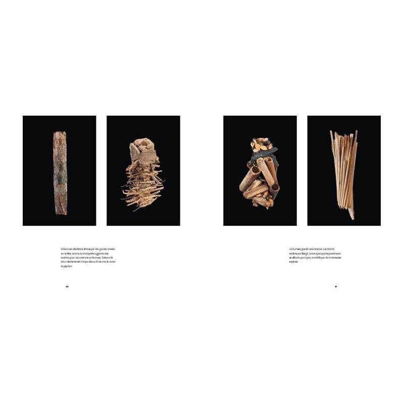 Animaux architectes - Les merveilles de la nature Animaux architectes - Les merveilles de la nature