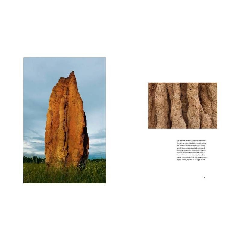 Animaux architectes - Les merveilles de la nature Animaux architectes - Les merveilles de la nature