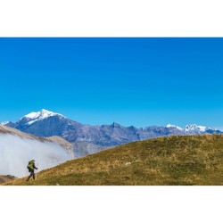 Vivre avec les Loups