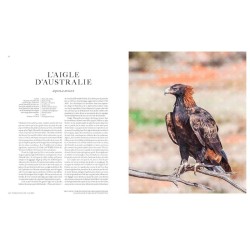 Aigles du monde - 70 espèces de légende Aigles du monde - 70 espèces de légende