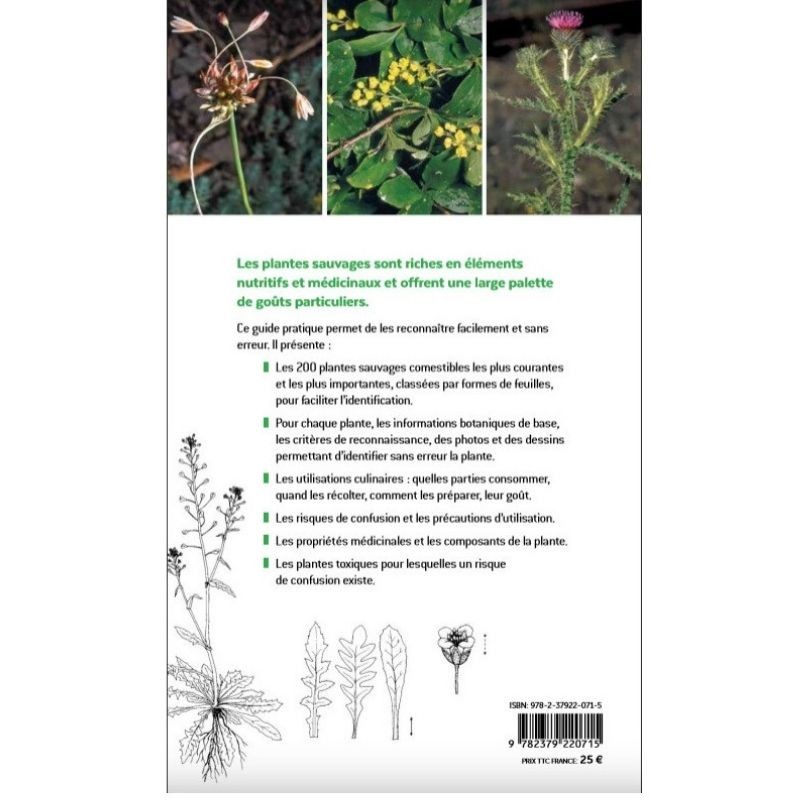 Plantes sauvages comestibles - Les 200 espèces courantes les plus importantes, les reconnaître, les récolter, les utiliser