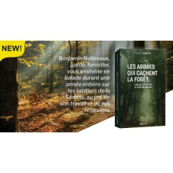 Les arbres qui cachent la forêt - Laisser s’exprimer la forêt de demain Les arbres qui cachent la forêt - Laisser s’exprimer la forêt de demain