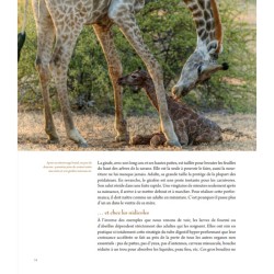 L'art d'être parent chez les animaux