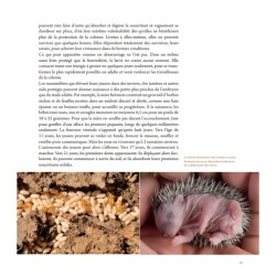 L'art d'être parent chez les animaux