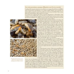 L'art d'être parent chez les animaux