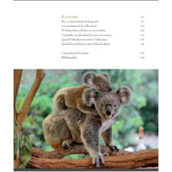 L'art d'être parent chez les animaux