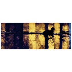 Le lac aux oiseaux Le lac aux oiseaux