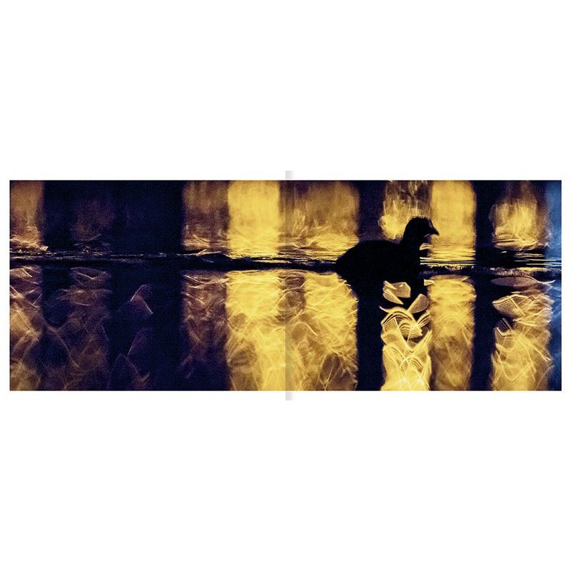 Le lac aux oiseaux Le lac aux oiseaux