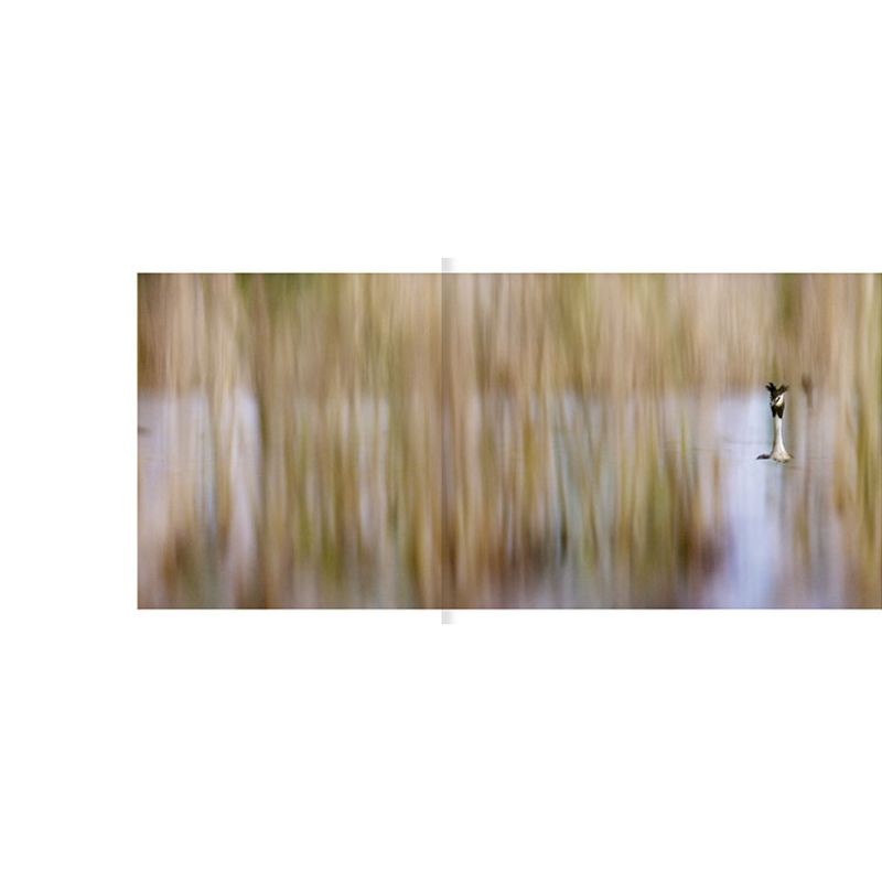 Le lac aux oiseaux Le lac aux oiseaux