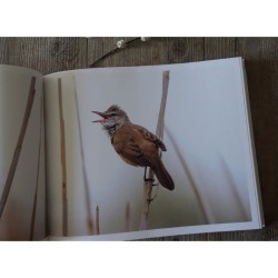 Le lac aux oiseaux Le lac aux oiseaux