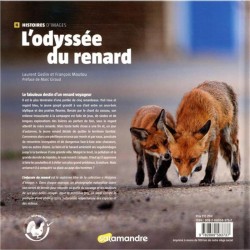 L'odyssée du renard