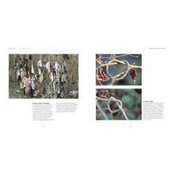 L'arbre dans tous ses états