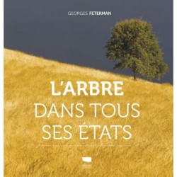 L'arbre dans tous ses états